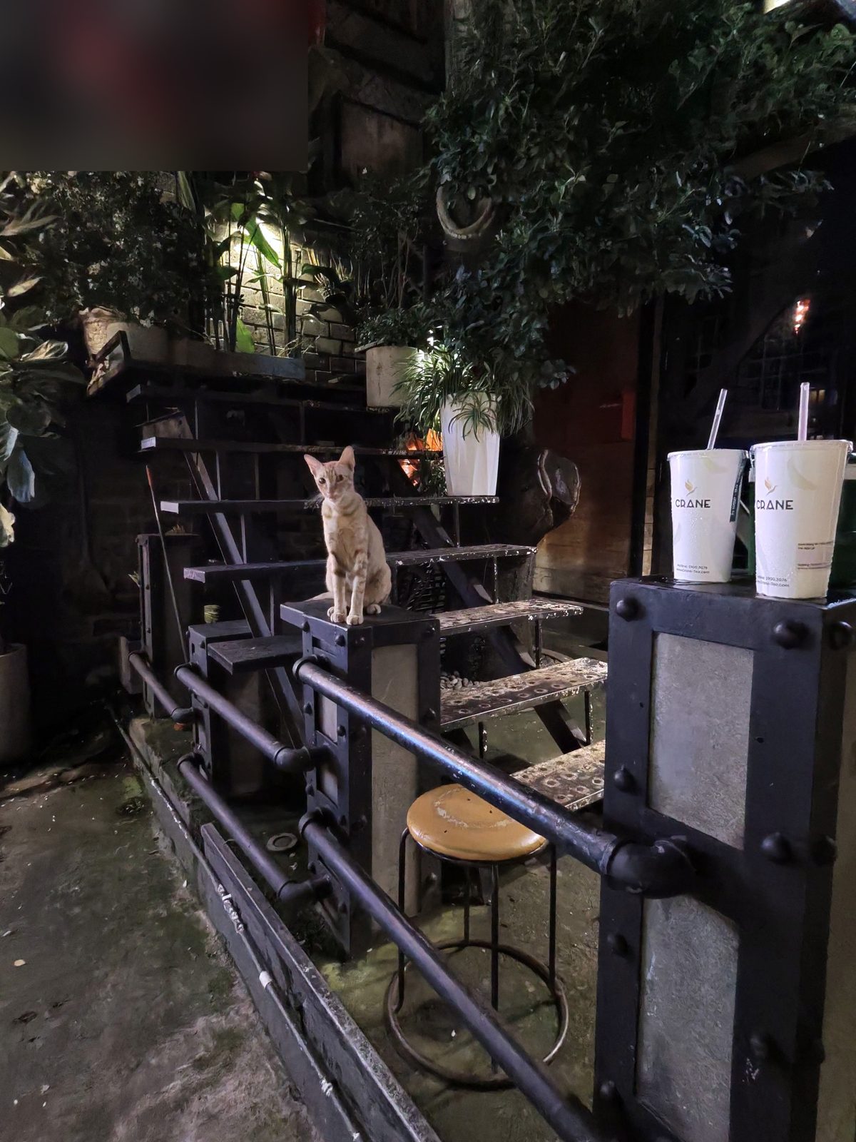 クラフトビールの店