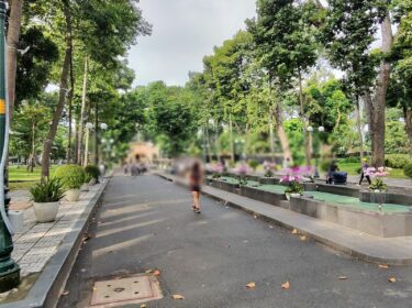 朝のタオダン公園。大きな木に囲まれた園内の道