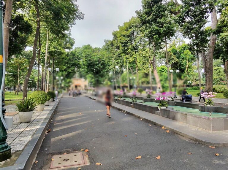 朝のタオダン公園。大きな木に囲まれた園内の道